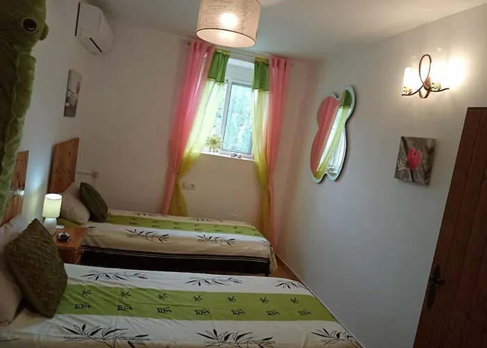 Home Benitez Pizarra